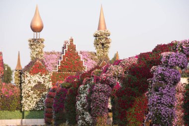 dubai mucize bahçesi