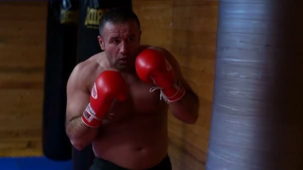 Professional kickboxer in the training ring — Stock Video