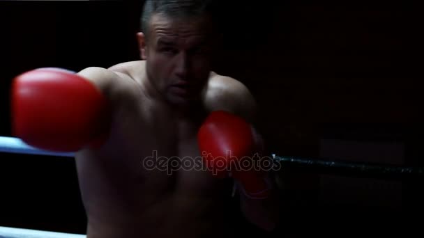 Kickboxer professionista nel ring di allenamento — Video Stock