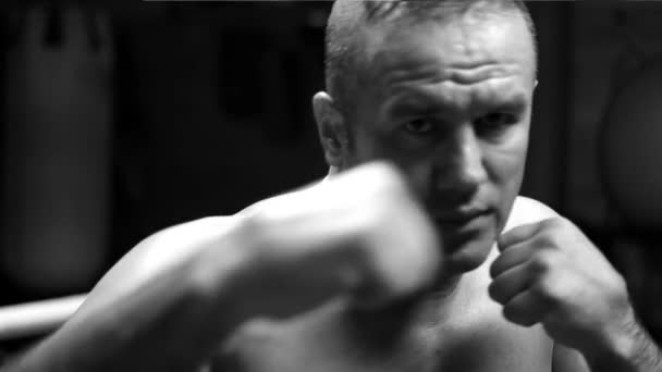 Kickboxer profesional en el ring de entrenamiento — Vídeos de Stock