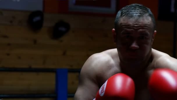 Kickboxer profissional no anel de formação — Vídeo de Stock