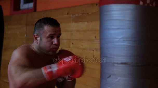 Professional kickboxer in the training ring — Stock Video