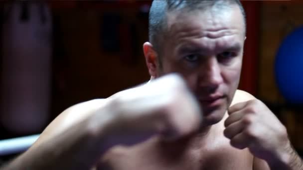 Profi kickboxer a képzési ringben — Stock videók