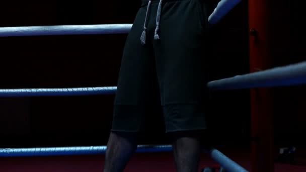 训练圈里的职业跆拳道选手 — 图库视频影像