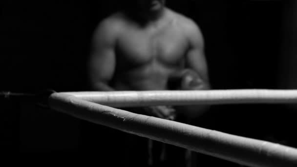 Professional kickboxer in the training ring — Stock Video
