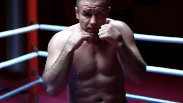 Kickboxer profissional no anel de formação — Vídeo de Stock