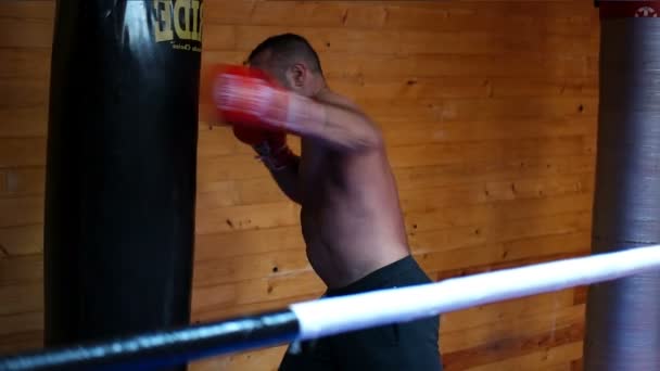 Profi kickboxer a képzési ringben — Stock videók
