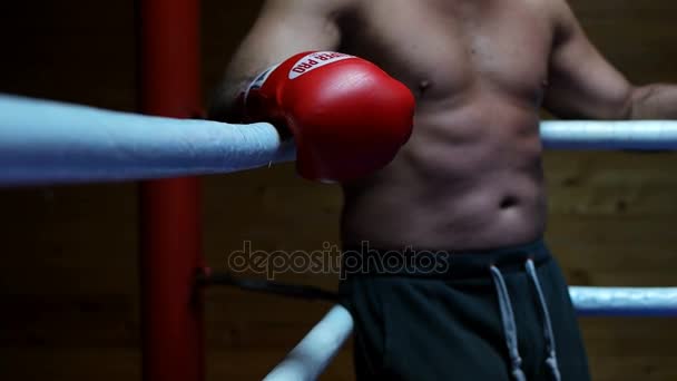 Kickboxer professionista nel ring di allenamento — Video Stock