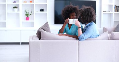 çok ırklı çift evde kanepede oturmuş kahve içme