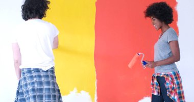 çok ırklı çift boya iç cephe