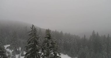 Aeria görünümü kış manzara