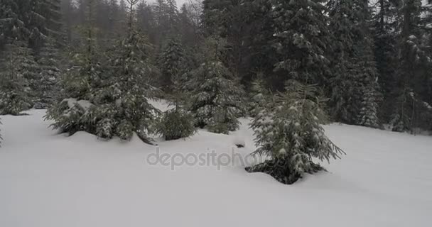 Aeria Ansicht der Winterlandschaft — Stockvideo