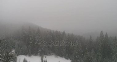 Aeria görünümü kış manzara