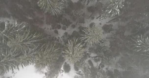 Aeria vista del paisaje invernal — Vídeos de Stock