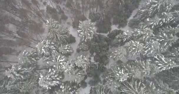 Aeria weergave van winterlandschap — Stockvideo