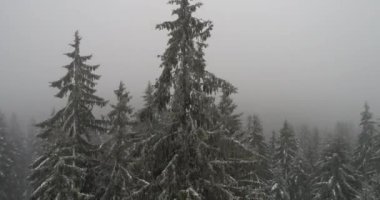 Aeria görünümü kış manzara