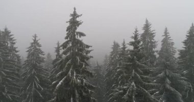 Aeria görünümü kış manzara