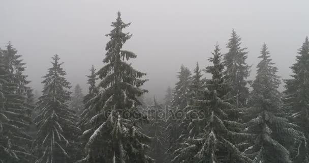 aeria vue du paysage hivernal 