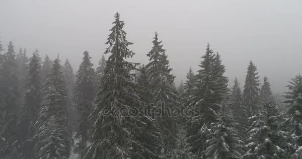 Aeria vista del paisaje invernal — Vídeo de stock