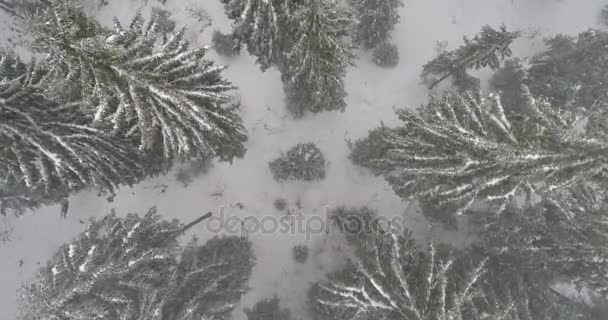 Aeria vista del paesaggio invernale — Video Stock