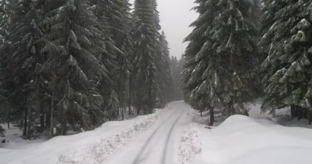 Aeria weergave van winterlandschap — Stockvideo