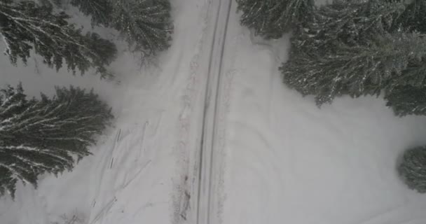 Aeria vue du paysage hivernal — Video