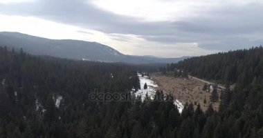 Aeria görünümü kış manzara