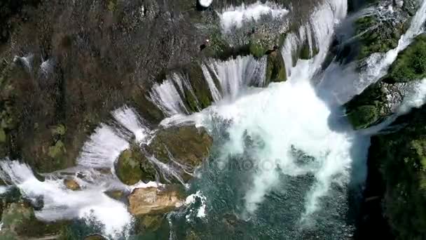 新鮮な水の滝 — ストック動画