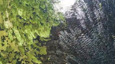 temiz su ile şelale