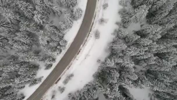Aeria vista del paesaggio invernale — Video Stock