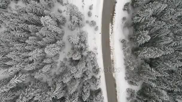 Aeria θέα χειμερινό τοπίο — Αρχείο Βίντεο