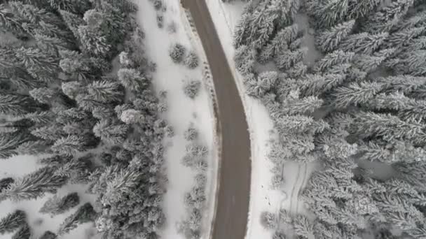 Aeria Ansicht der Winterlandschaft — Stockvideo