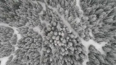 Aeria görünümü kış manzara