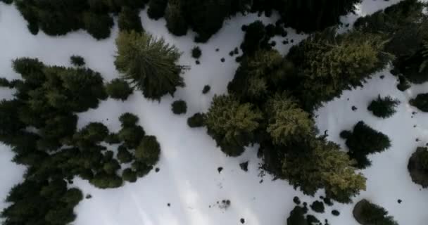 겨울 풍경의 aeria 보기 — 비디오