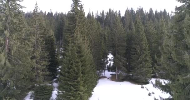 Aeria vista del paisaje invernal — Vídeo de stock