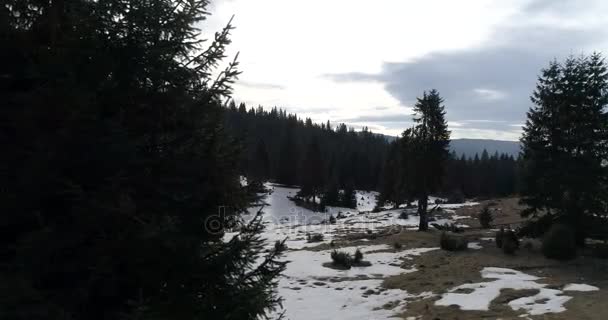 Aeria vedere la peisajul de iarnă — Videoclip de stoc