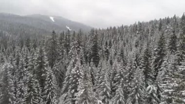 Aeria görünümü kış manzara