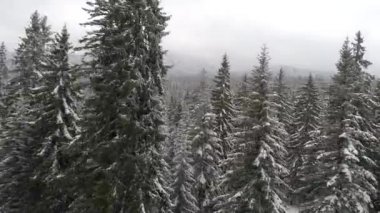 Aeria görünümü kış manzara