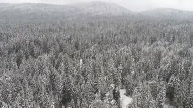 Aeria görünümü kış manzara