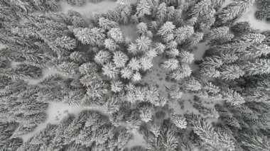 Aeria görünümü kış manzara