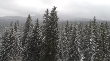 Aeria görünümü kış manzara