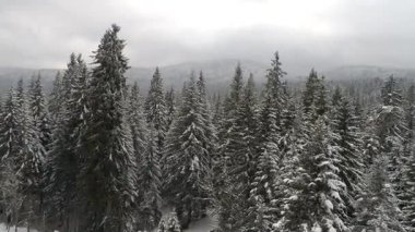 Aeria görünümü kış manzara