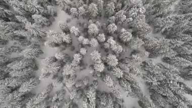 Aeria görünümü kış manzara