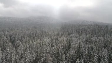 Aeria görünümü kış manzara