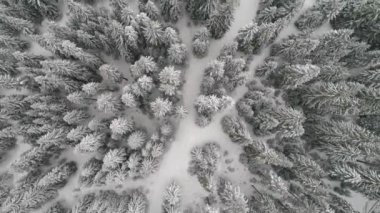 Aeria görünümü kış manzara