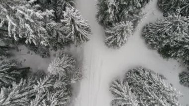 Aeria görünümü kış manzara