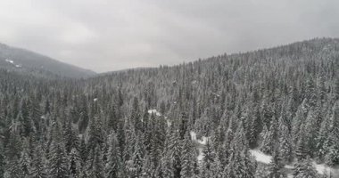 Aeria görünümü kış manzara