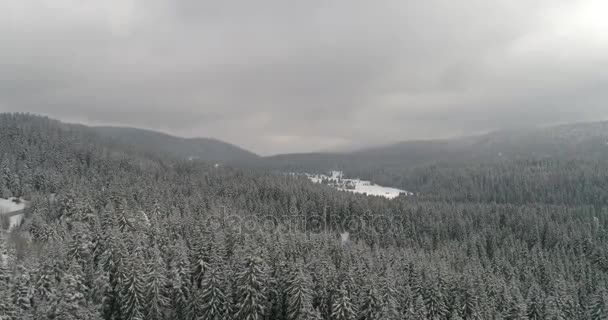 Aeria vista da paisagem de inverno — Vídeo de Stock