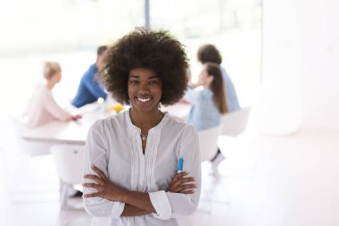 Çok ırklı başlangıç iş takım bir toplantıda 