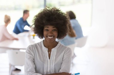 Çok ırklı başlangıç iş takım bir toplantıda 
